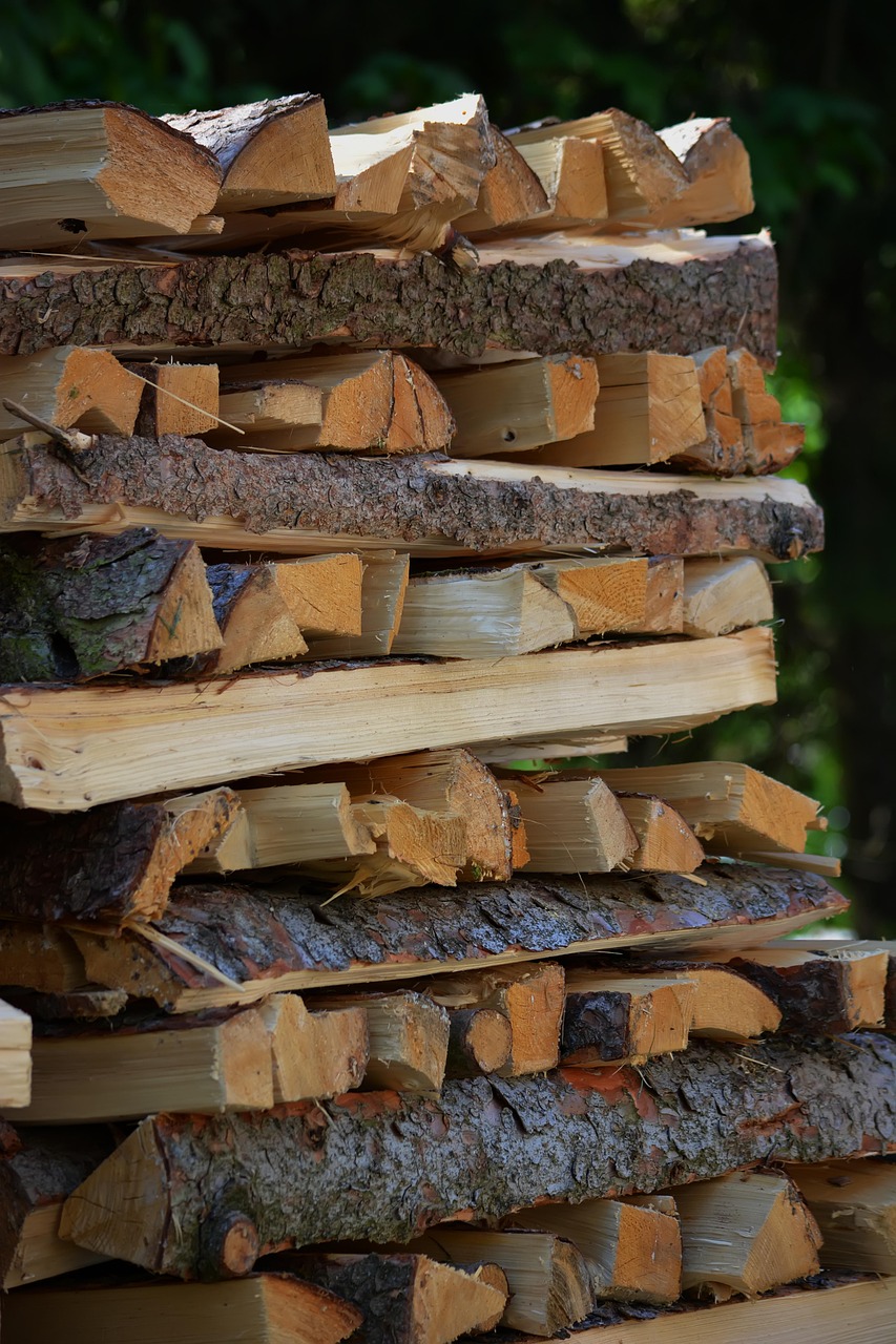 firewood, trees, lumber, the woods, heating, eco, nature, wooden